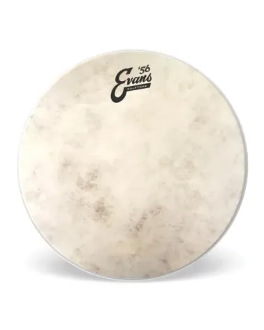 EVANS Calftone. Parche batidor, 13 pulgadas