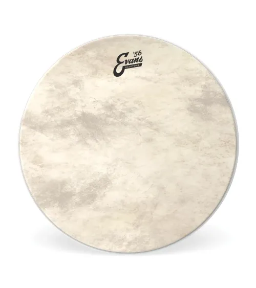 EVANS. Parche de bombo de Calftone, 22 pulgadas