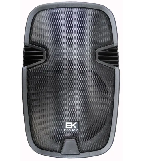 COLUMNA PASIVA EK AUDIO DE 10 120W