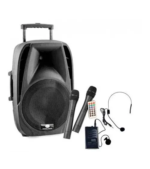 ACOUSTIC CONTROL COMBO 15 400W