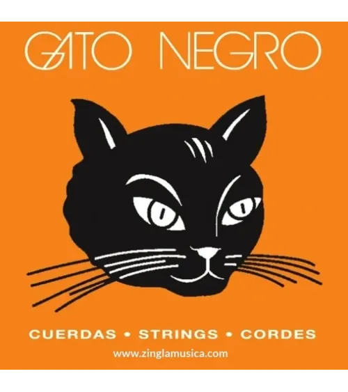 Gato negro cuerda guitarra eléctrica 017