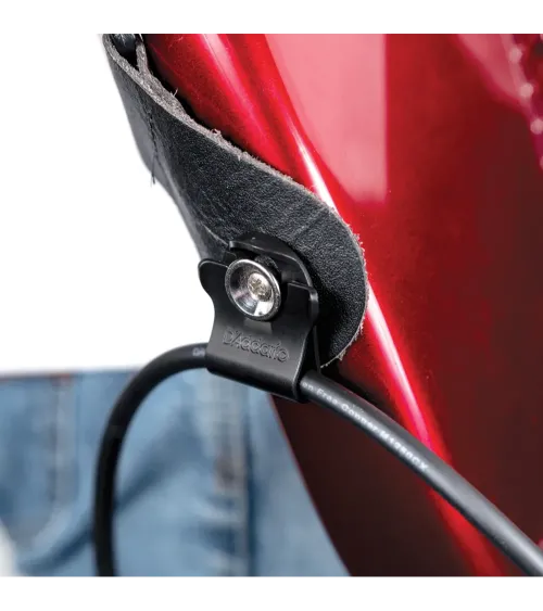 Daddario Dual-Lock - Bloqueo Correa