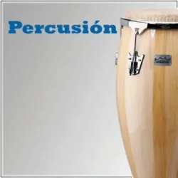 Instrumentos de percusión - Bluemusic